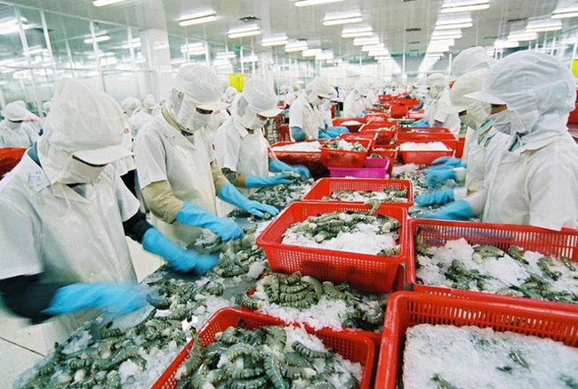 Nhiều tín hiệu tích cực từ hoạt động xuất nhập khẩu hàng hóa