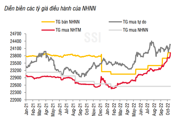 Tỷ giá USDVND gặp nhiều áp lực lớn