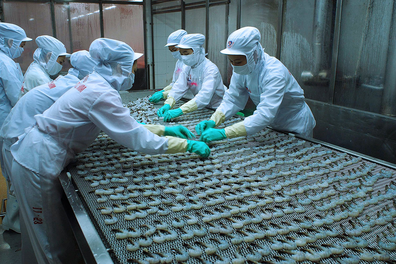 Xuất khẩu tôm tăng mạnh tại châu Á giảm tại các thị trường Mỹ và EU