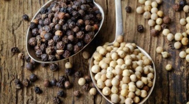 Giá tiêu hôm nay 2510 Tiếp tục điều chỉnh giảm tại các vùng trồng trọng điểm