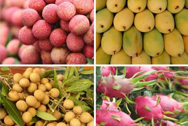 Mục tiêu đến năm 2025 kim ngạch xuất khẩu trái cây đạt trên 5 tỷ USD