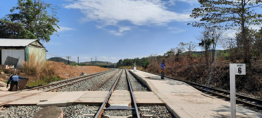 Vi phạm công bố thông tin Tổng Công ty Công trình Đường sắt RCC bị phạt 100 triệu đồng