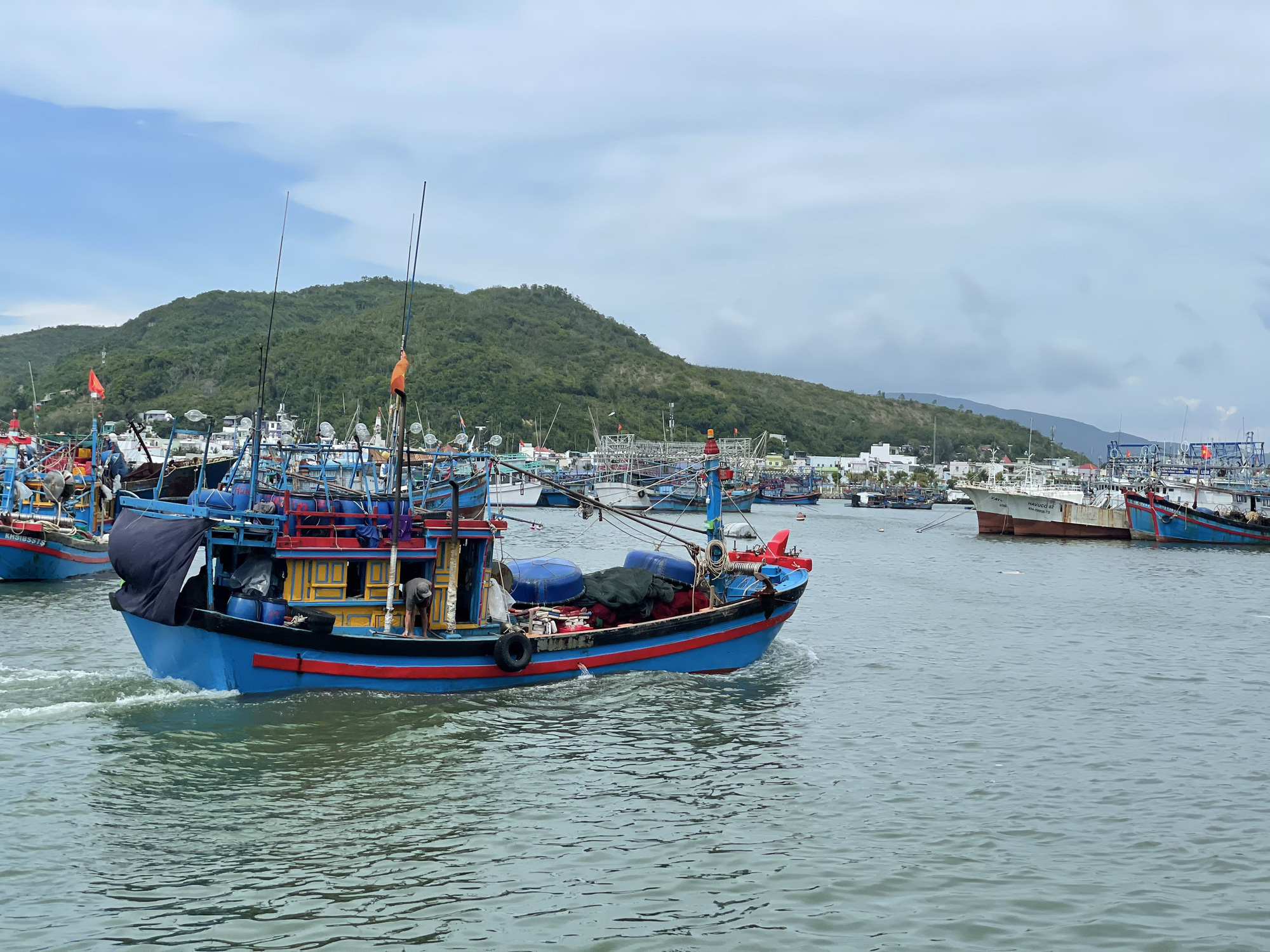 Xuất khẩu thủy sản sang EU bị ảnh hưởng vì dính thẻ vàng IUU