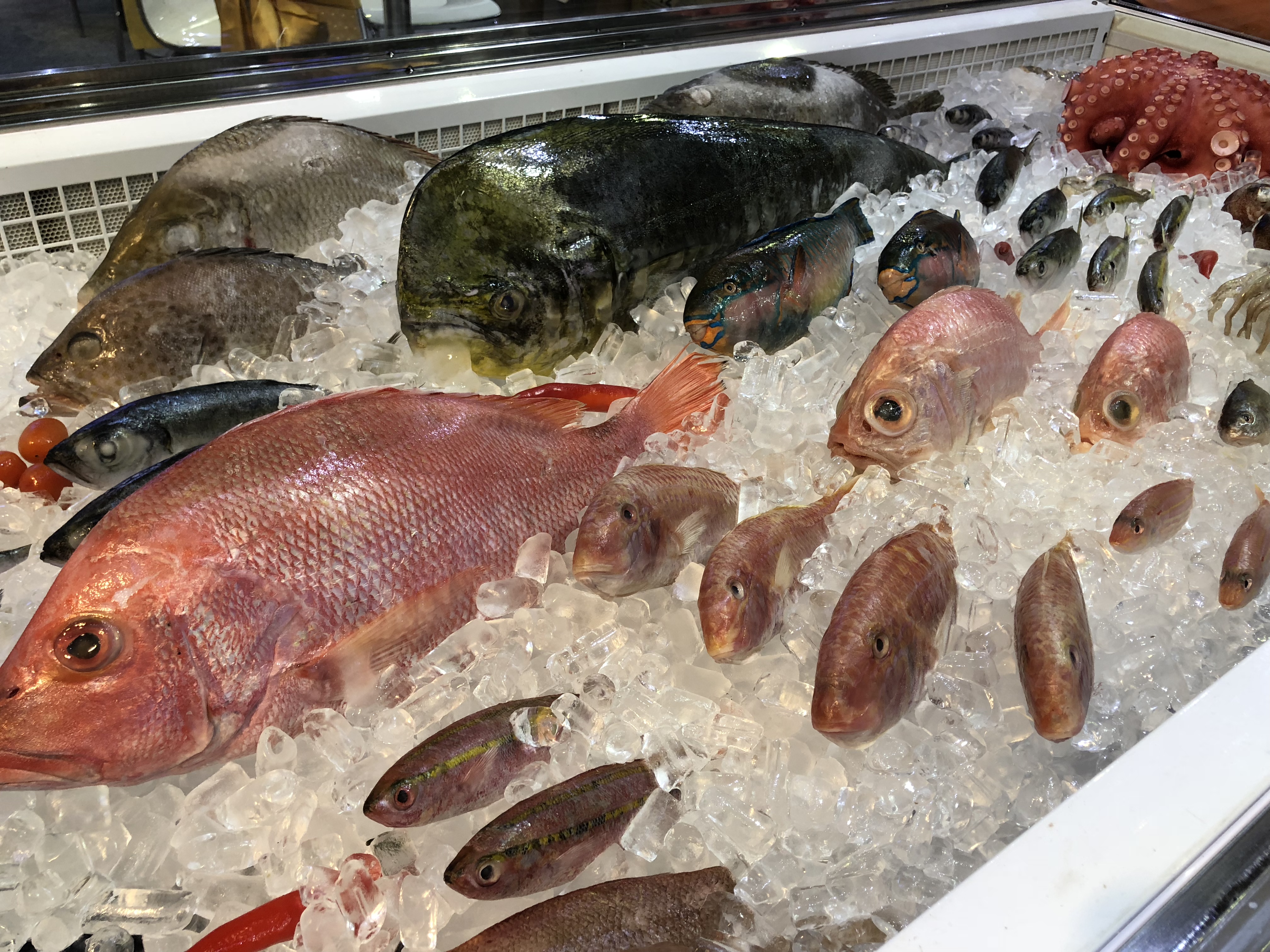 Xuất khẩu thủy sản sang EU bị ảnh hưởng vì dính thẻ vàng IUU