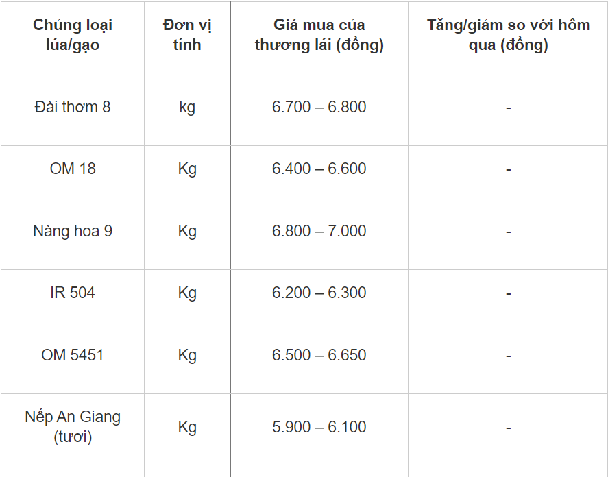 Giá lúa gạo hôm nay 1211 Giá neo cao thị trường giao dịch ổn định