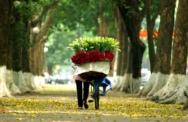 Thời tiết hôm nay 1211 Hà Nội hửng nắng sương mù nhẹ vào sáng sớm