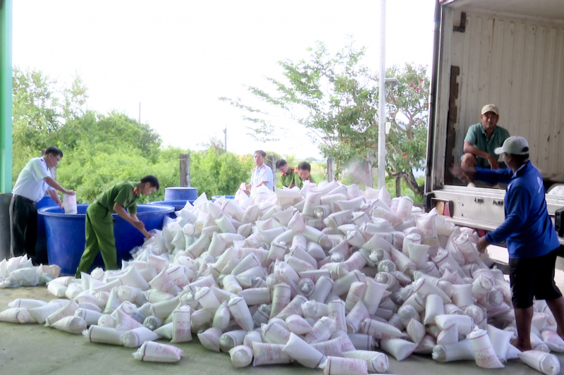 Tiêu hủy hơn 2 triệu con tôm giống không có giấy chứng nhận kiểm dịch