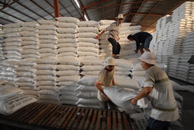 Hai mảng sáng tối trong bức tranh lợi nhuận ngành gạo