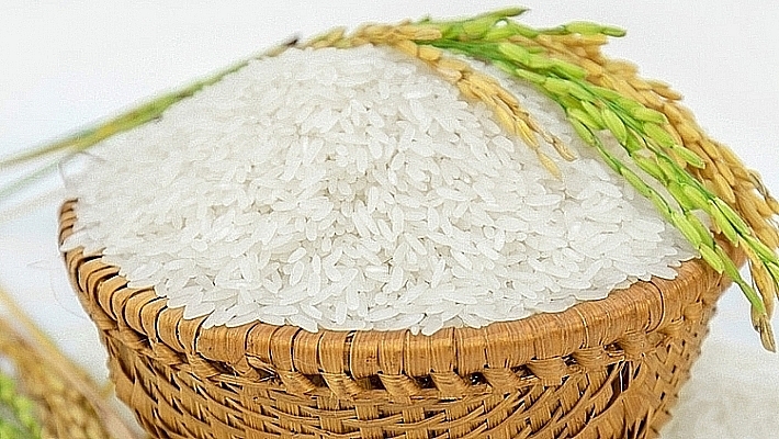 Giá lúa gạo hôm nay 2011 Thị trường giao dịch ổn định