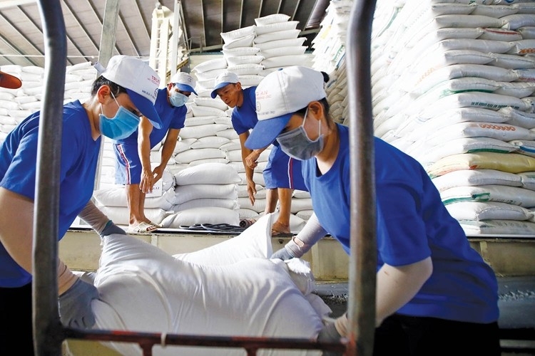 Nhiều bất cập cần sửa đổi trong quy định về kinh doanh xuất khẩu gạo