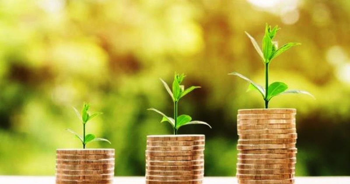 15 doanh nghiệp trả cổ tức bằng tiền tuần từ 2811212