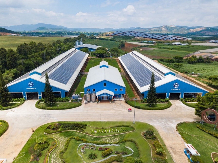 Vì sao nhà đầu tư nên chọn ít nhất 1 cổ phiếu ESG trong danh mục đầu tư