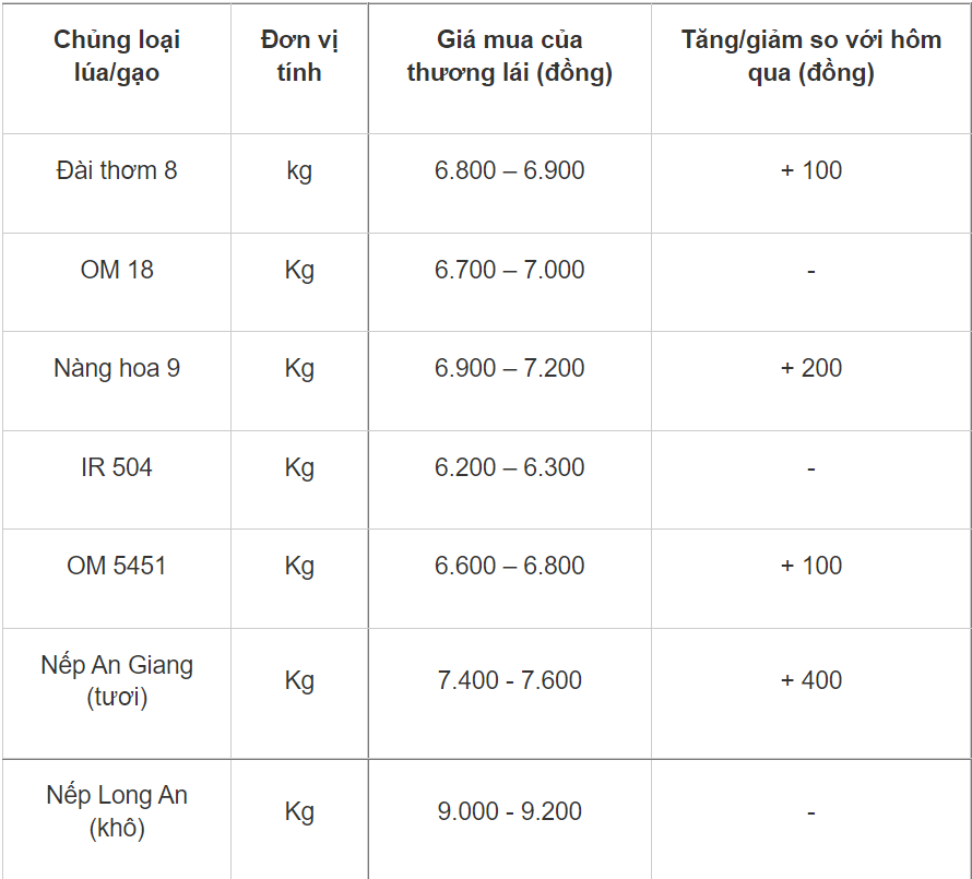 Giá lúa gạo hôm nay 3011 Giá lúa thu đông tăng 100 - 400 đồngkg