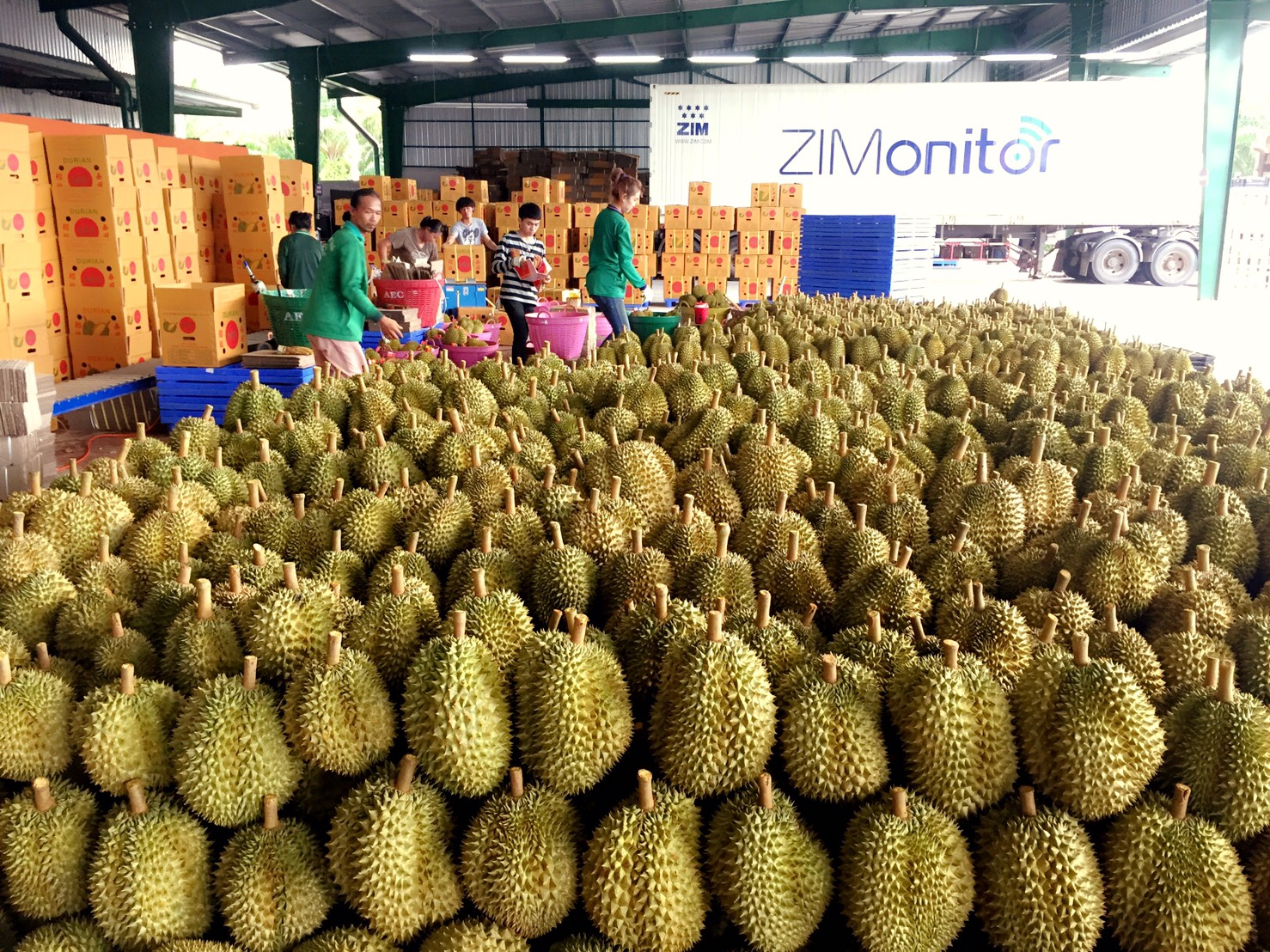 Xuất khẩu nông sản tăng trưởng ấn tượng trong 11 tháng qua