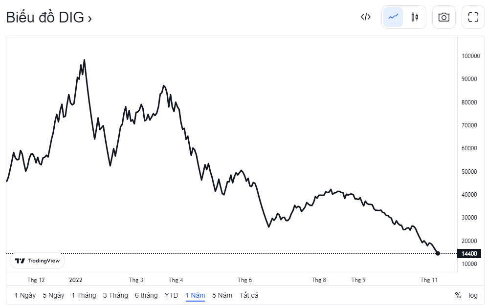 Cổ đông DIC Corp liên tục bị call margin con gái Chủ tịch không mua hết cổ phiếu đã đăng ký