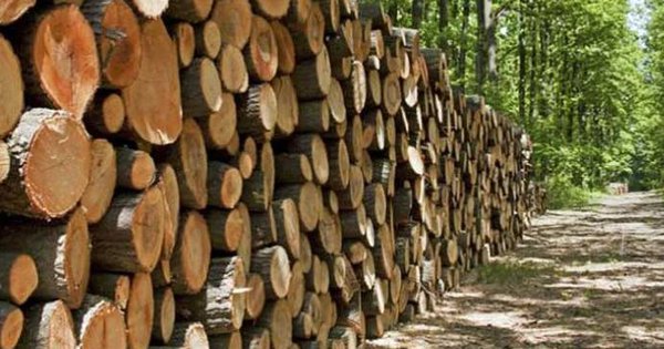 Ách tắc trong khâu hoàn thuế VAT loạt doanh nghiệp trở nên khốn đốn