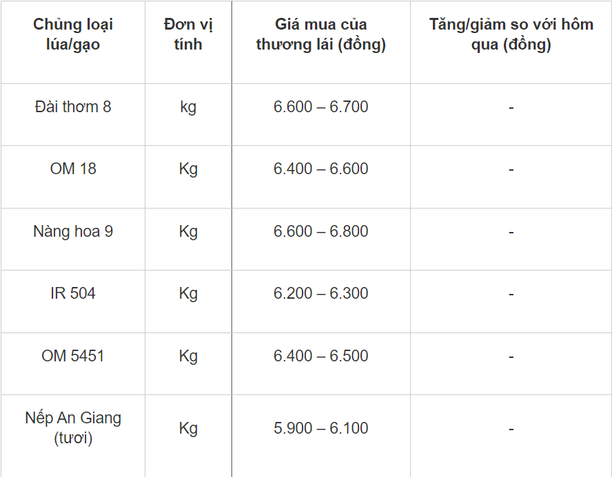 Giá lúa gạo hôm nay 911 Biến động trái chiều 