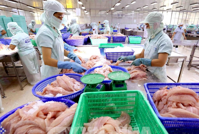 Rào cản gia tăng doanh nghiệp xuất khẩu gặp khó với thị trường FTA