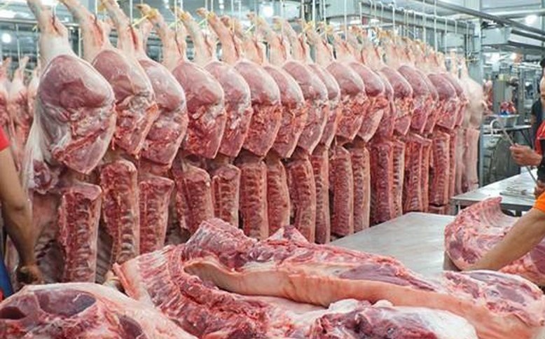 Giá heo hơi hôm nay 712 Biến động trái chiều từ 1000 2000 đồngkg tại nhiều địa phương