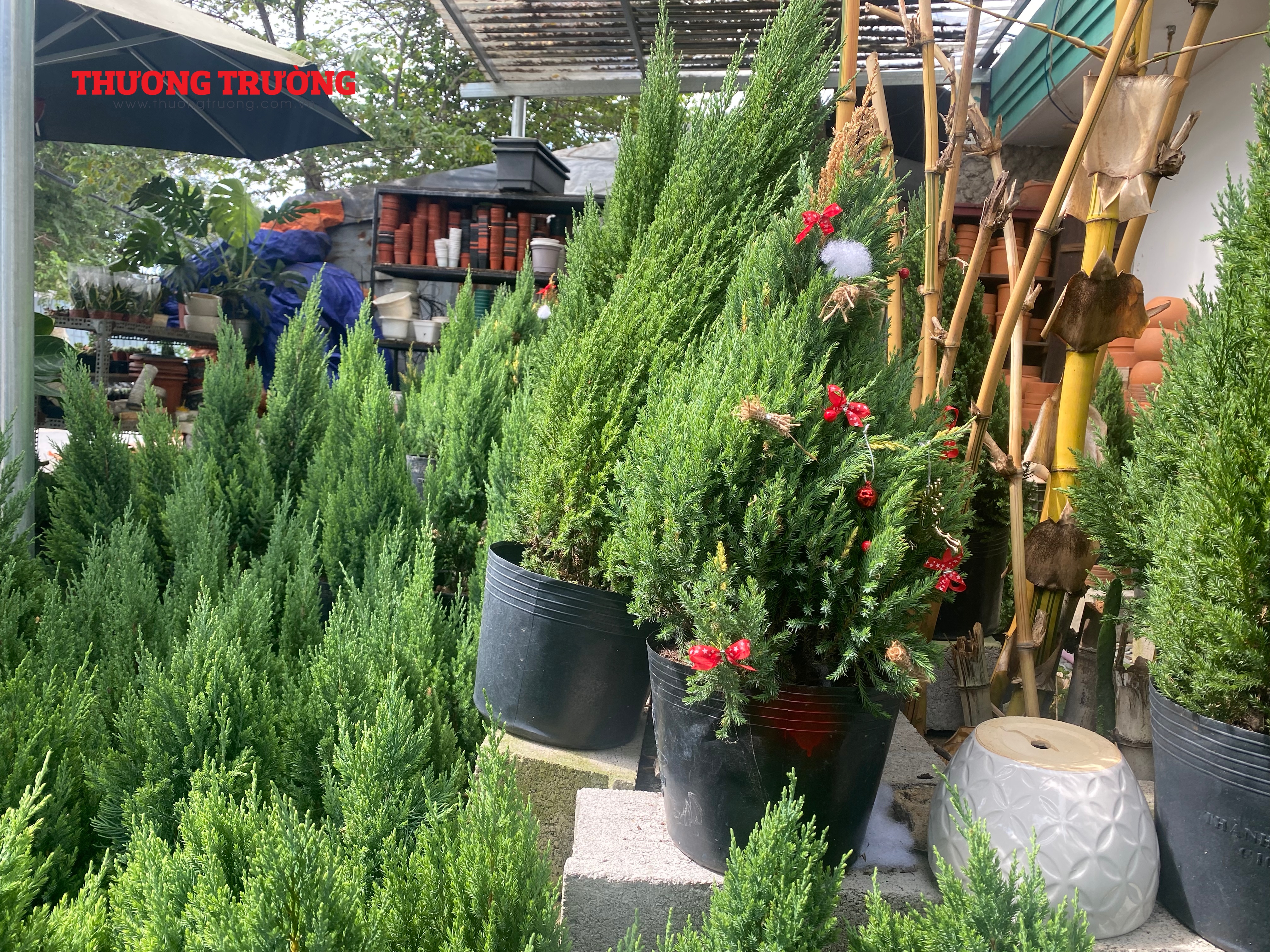 Thị trường đồ trang trí dịp Giáng sinh tại TPHCM Nhộn nhịp vào mùa