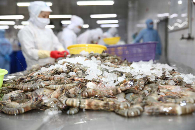 Xuất khẩu tôm duy trì đà tăng trưởng