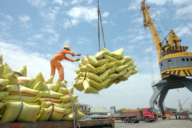 Xuất khẩu gạo sang thị trường EU tăng trưởng đột phá