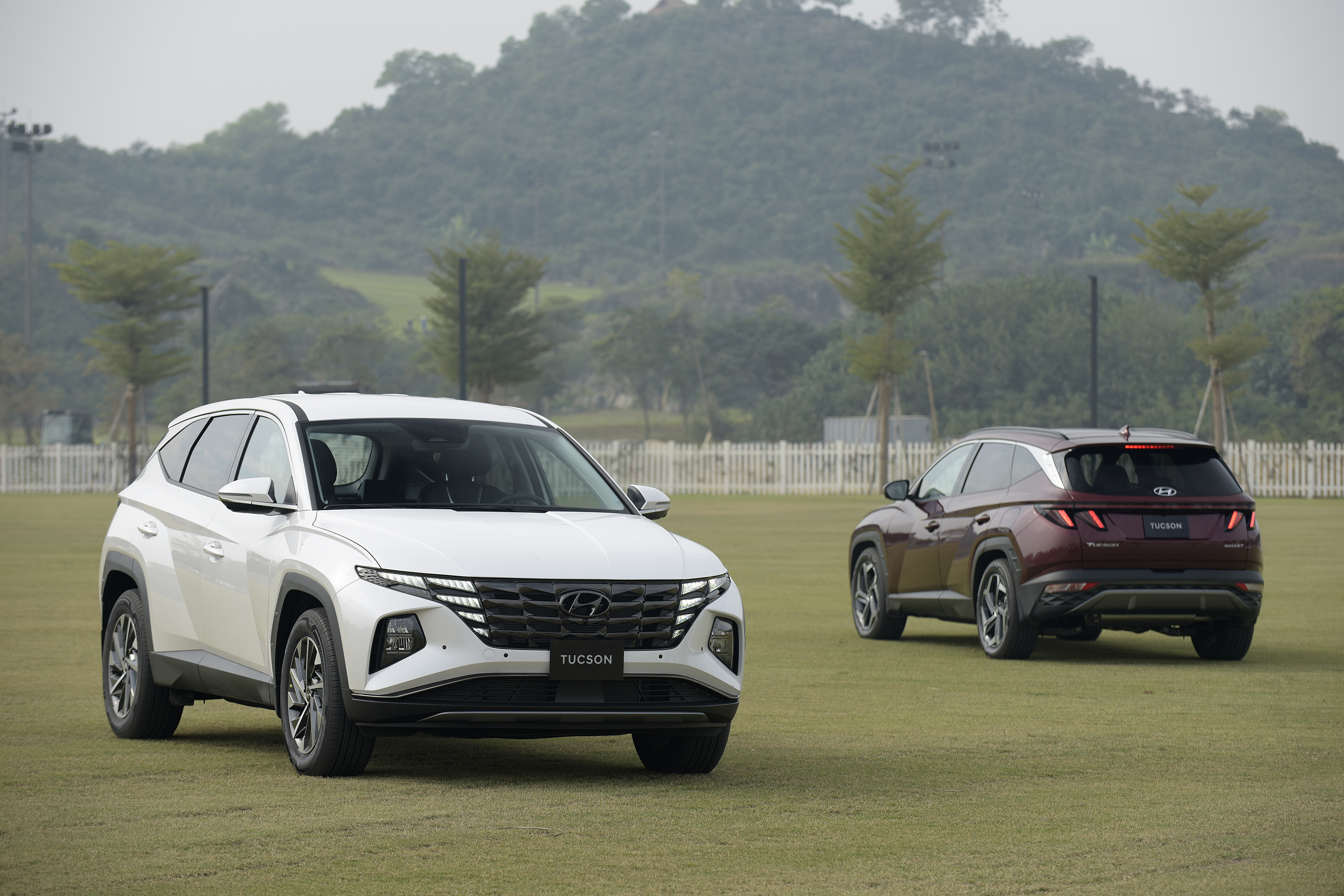 TC Group bán ra 6959 xe Hyundai trong tháng 42022