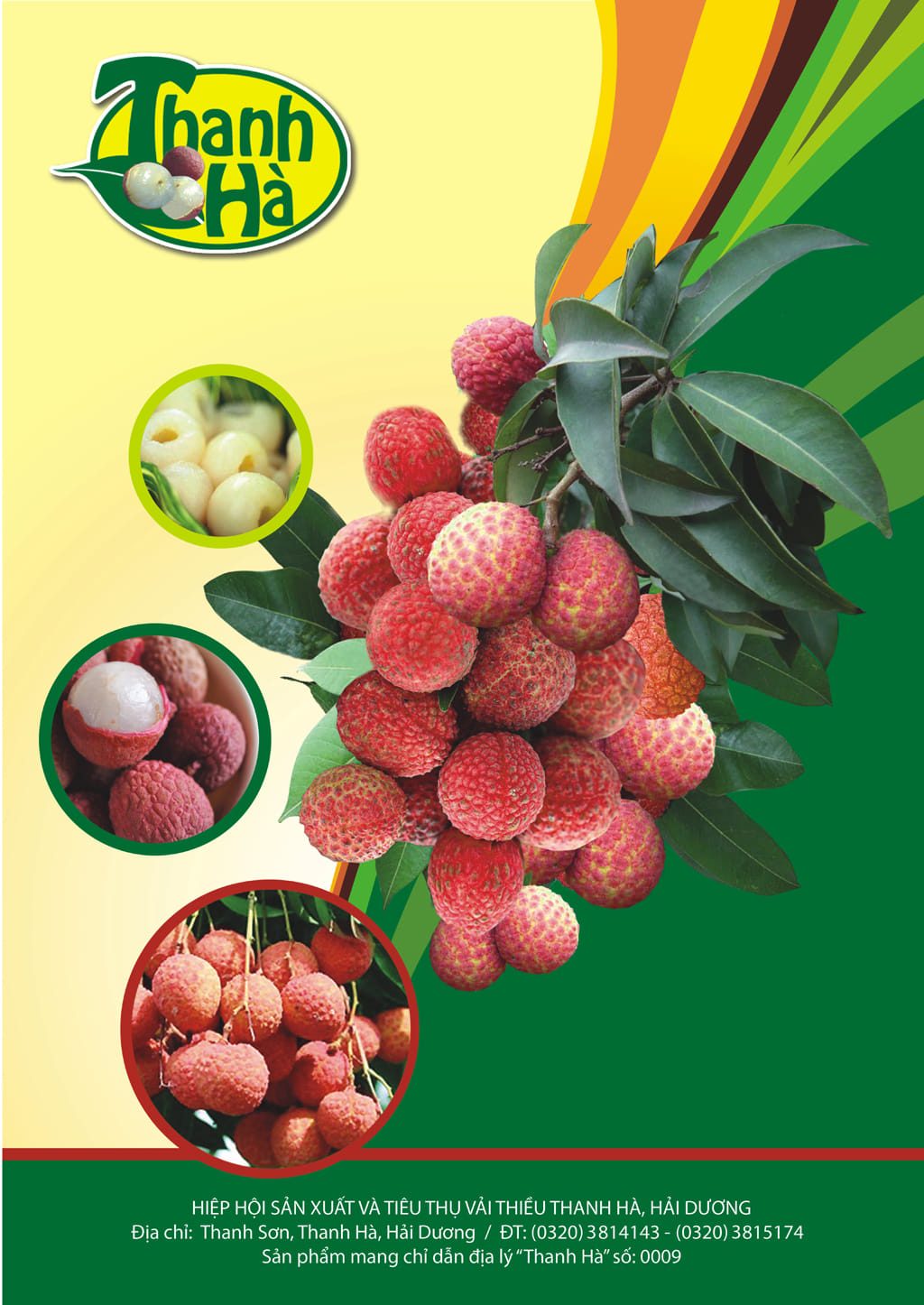 Hải Dương Người dân vùng vải thiều Thanh Hà vui mừng chờ đón Lễ hội mở vườn vải xuất khẩu