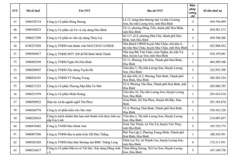 Cục thuế Hòa Bình CTCP Đầu tư phát triển đô thị Hoàng Mai tiếp tục đứng đầu danh sách nợ thuế