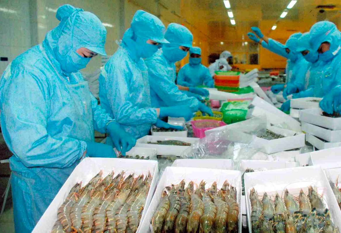 Xuất khẩu tôm sang Canada tăng trưởng cao nhất trong khối CPTPP