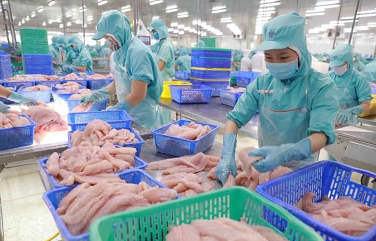 Còn nhiều tiềm năng và dư địa cho doanh nghiệp Việt tại thị trường khu vực châu Mỹ