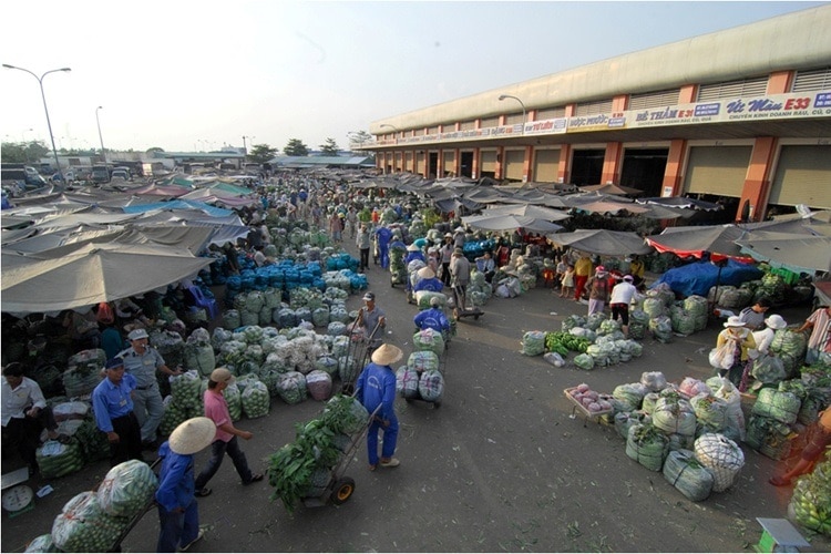 Sản phẩm tham gia chuỗi thực phẩm an toàn tại TP HCM chứa kháng sinh chất cấm