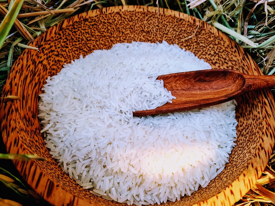 Xuất khẩu gạo được dự báo tăng trưởng tốt trong 6 tháng cuối năm