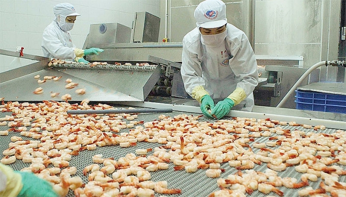 Vì sao xuất khẩu tôm tăng trưởng âm trong tháng 6