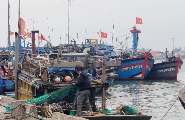 Hỗ trợ ngư dân bị ảnh hưởng do giá xăng dầu tăng cao