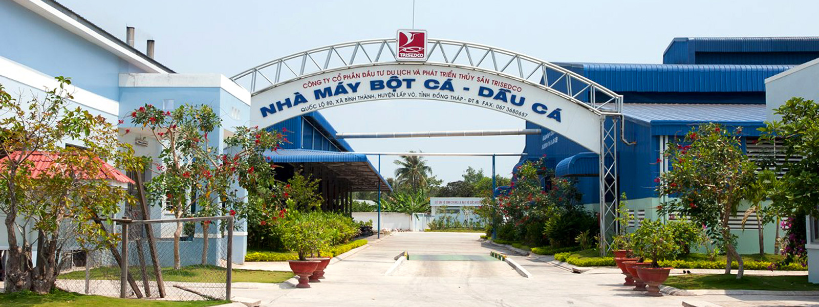 Trisedco DAT chốt quyền chia cổ tức bằng cổ phiếu tỷ lệ 14