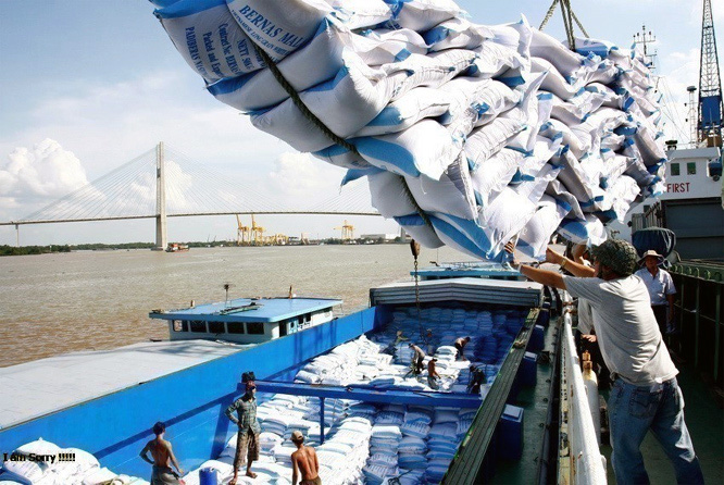 Xuất khẩu gạo Việt Nam 7 tháng đầu năm chạm mốc 2 tỷ USD