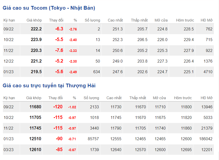 Giá cao su hôm nay 19 
