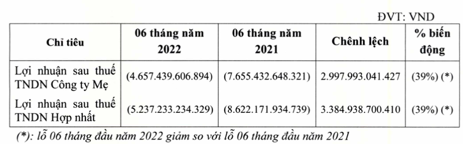 Kiểm toán nghi ngờ khả năng hoạt động liên tục của Vietnam Airlines