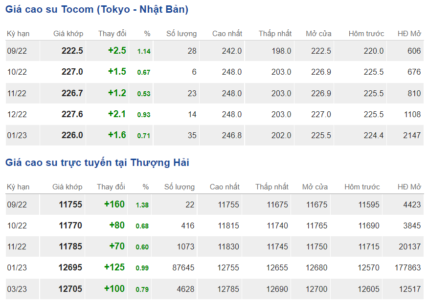 Giá cao su hôm nay 149 Cao su kỳ hạn tăng trở lại