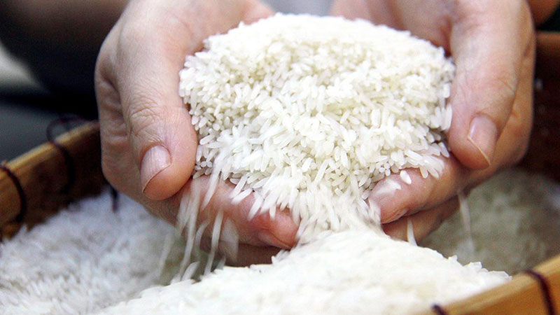 Giá lúa gạo hôm nay 269 Thị trường giao dịch sôi động phiên đầu tuần