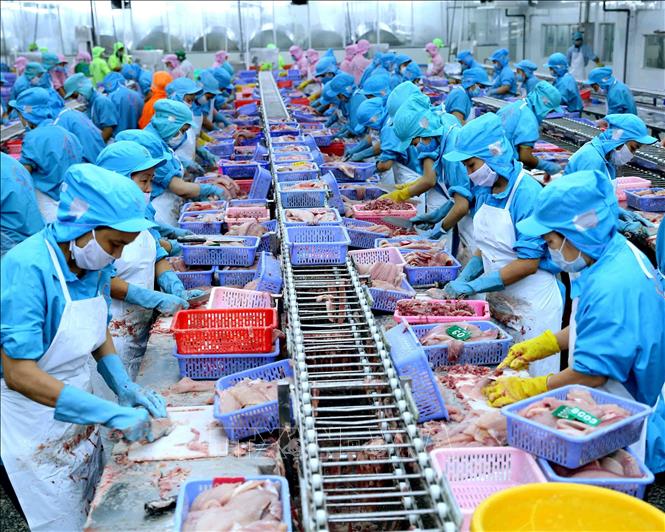 Xuất khẩu quý III và đến cuối năm của Việt Nam được đánh giá rất khả quan