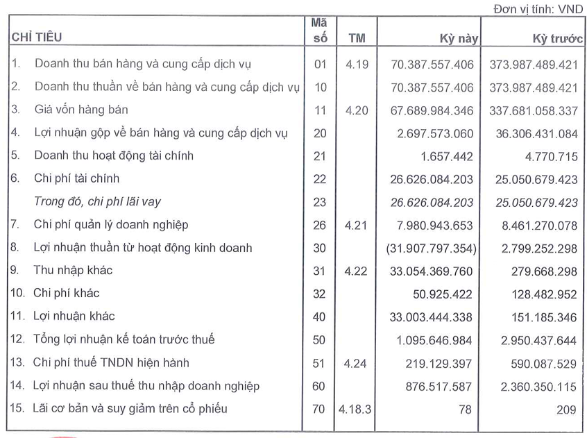 Địa ốc Tân Kỷ bị Cục Hải quan TPHCM cưỡng chế nợ thuế