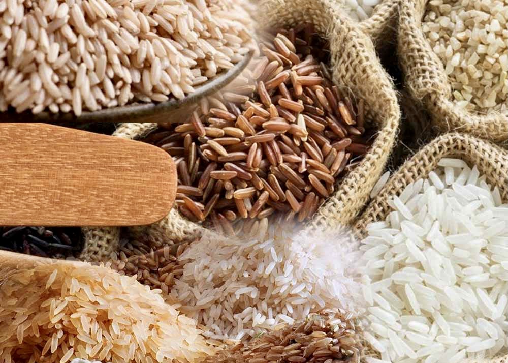 Ấn Độ ký nhiều thỏa thuận xuất khẩu gạo basmati mùa vụ mới