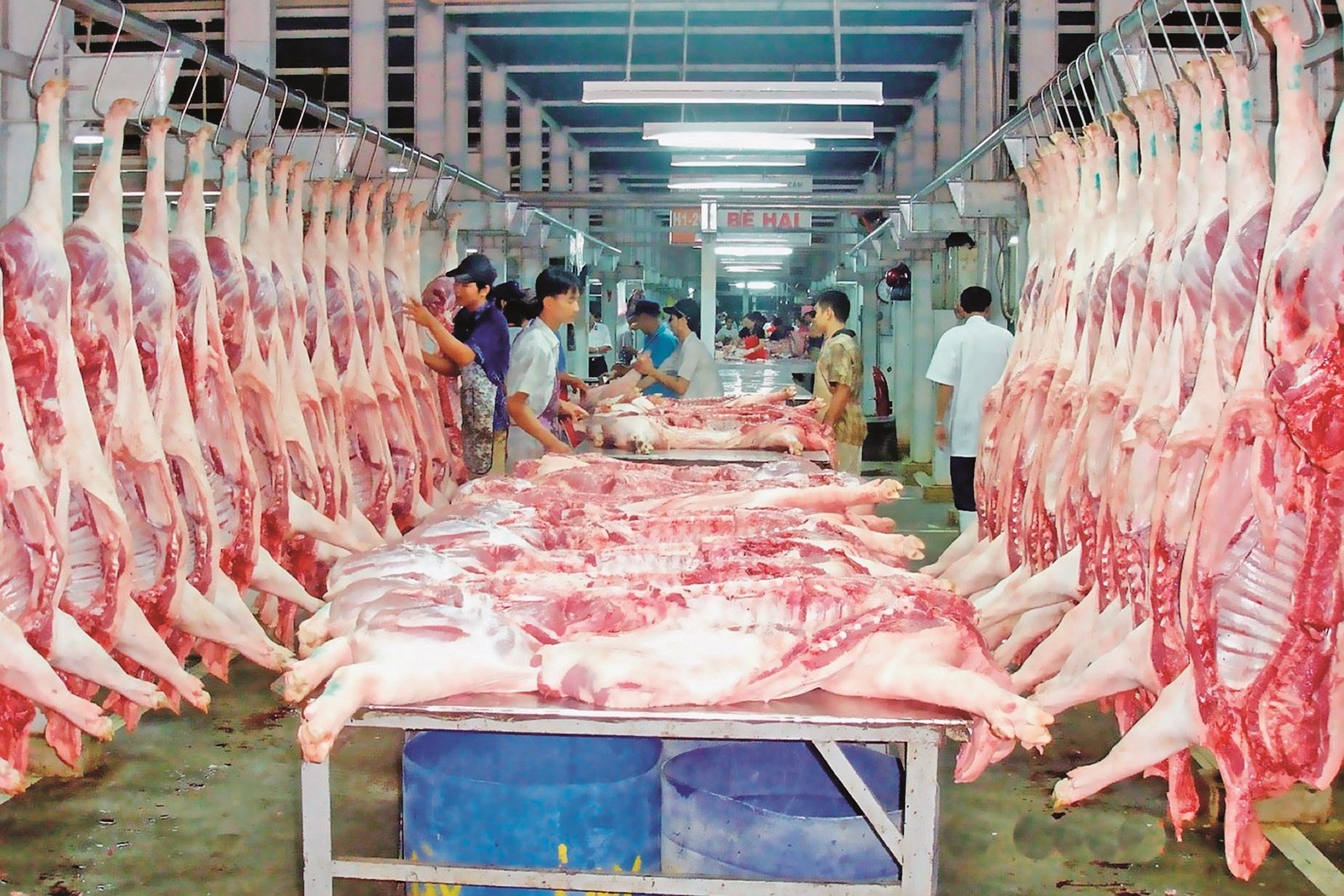 Giá thịt heo hôm nay 253 Thị trường không có nhiều biến động