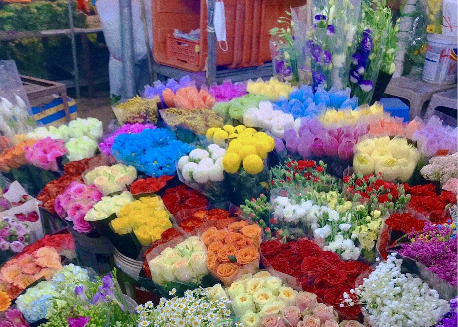 Giá hoa tăng cao nhưng vẫn hút khách dịp 83