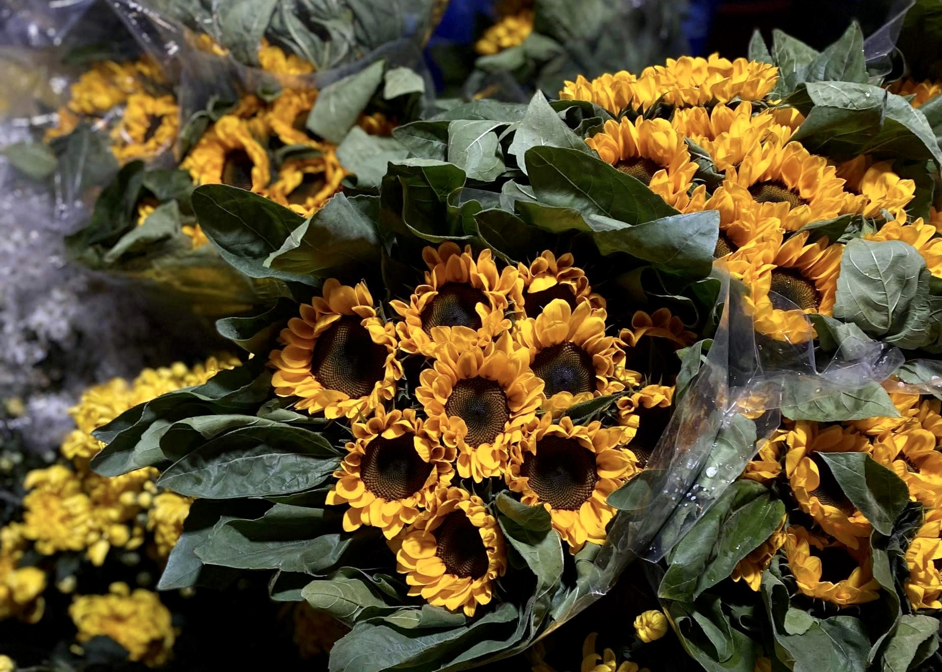 Giá hoa tăng cao nhưng vẫn hút khách dịp 83