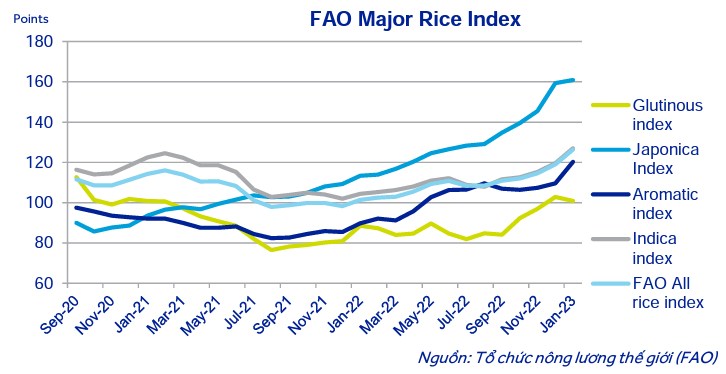 Triển vọng tốt đối với các doanh nghiệp xuất khẩu gạo trong ngắn hạn