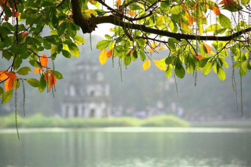 Dự báo thời tiết 155 Miền Bắc và Bắc Trung Bộ trời dịu mát Tây Nguyên và Nam Bộ mưa giông