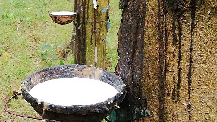 Fía cao su hôm na 155 Biến động hơn 2